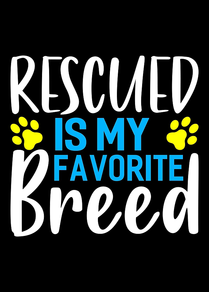 Animal Rescue Foster