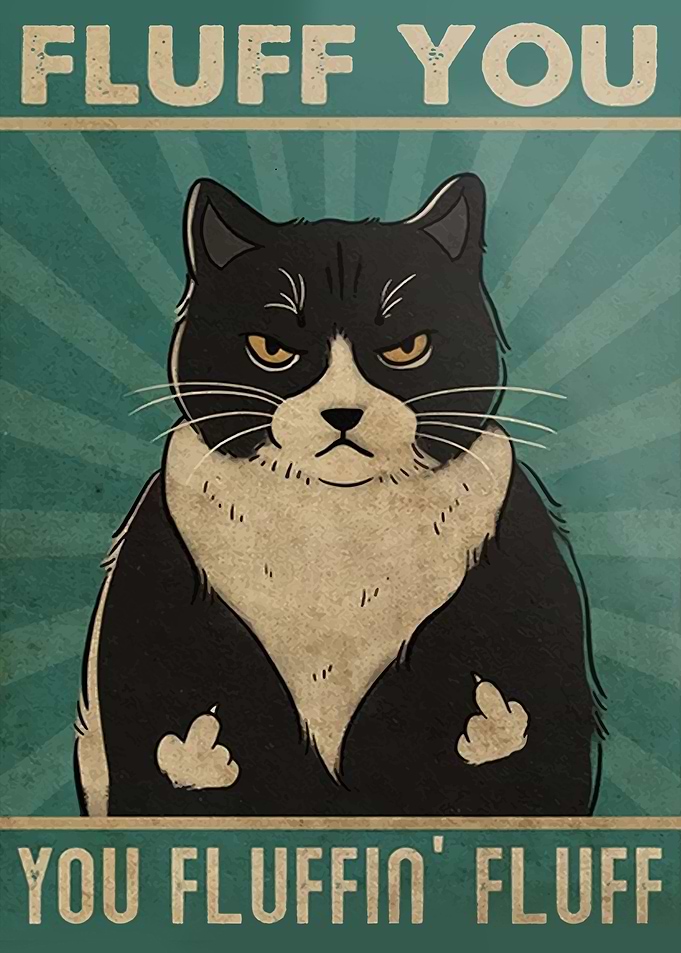 Black Cat