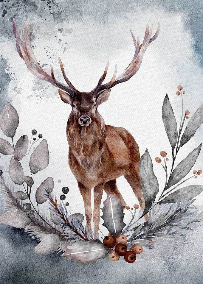Stag illustration