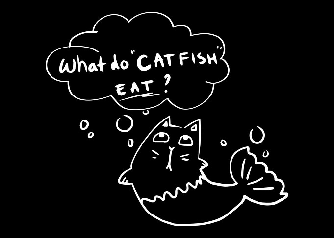 Freshwater Catfish Fishing