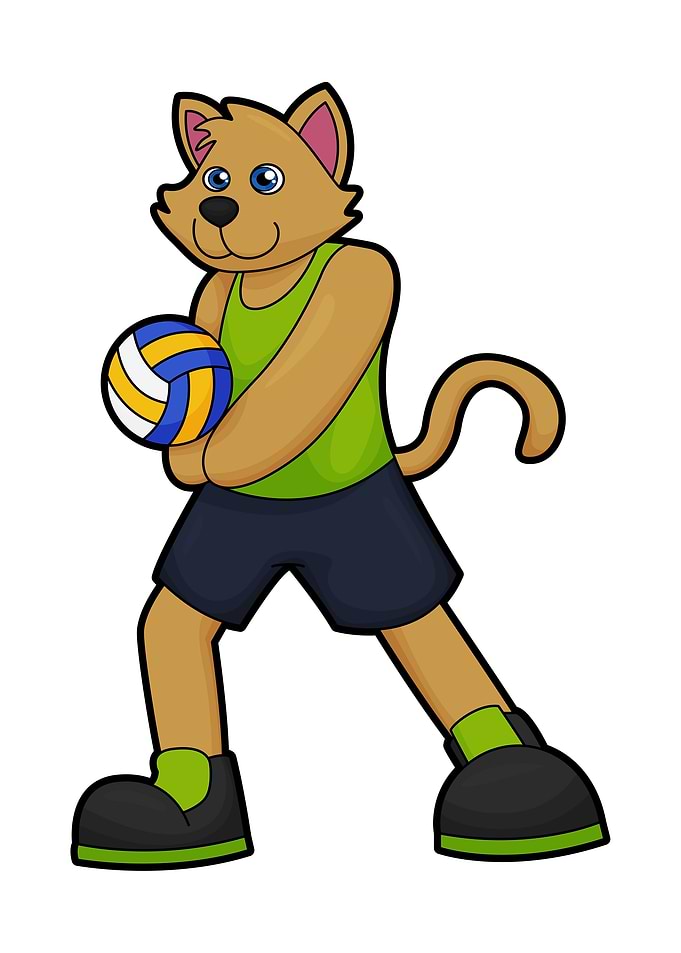 Dog Volleyball Sports