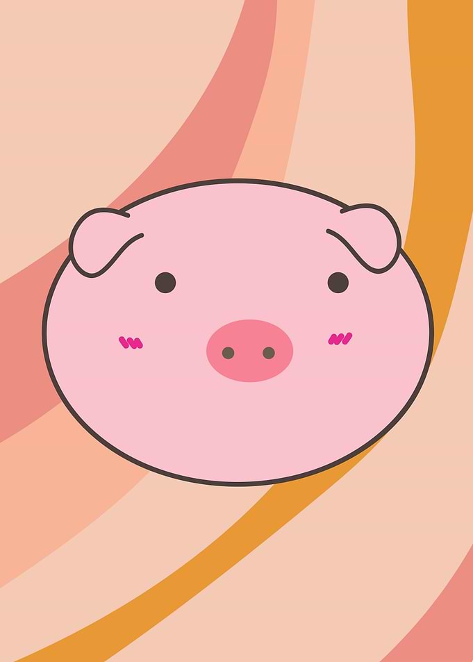 Cute Pig Illustration