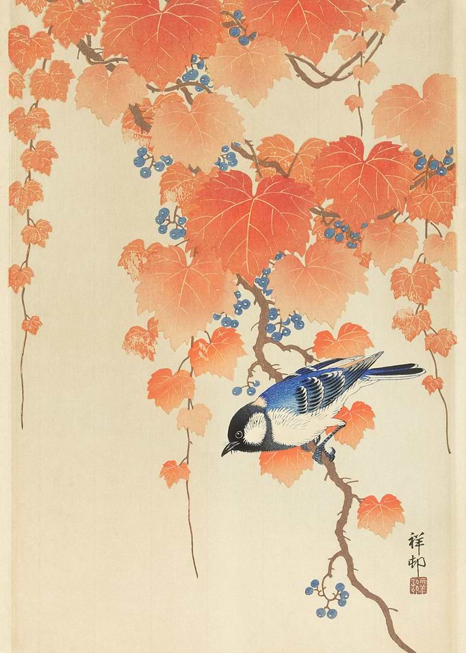 Birds in spring