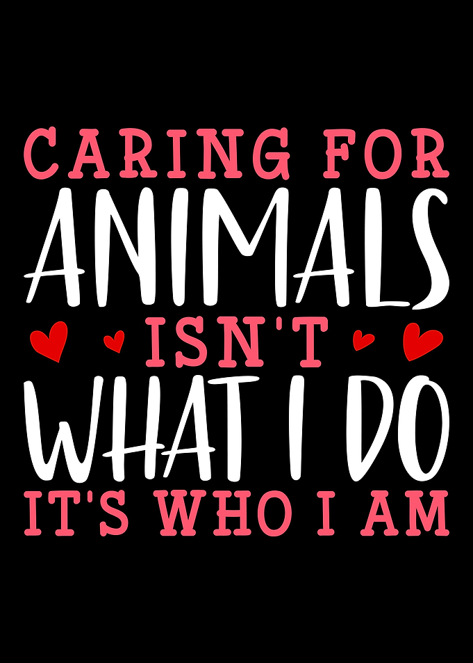 Animal Rescue Foster