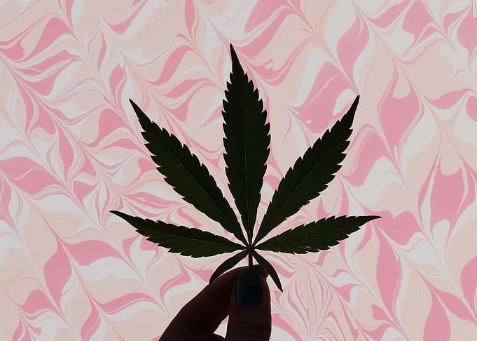 Cannabis Dreams