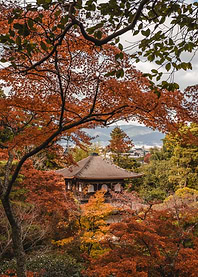 Silver Pavilion Kyoto