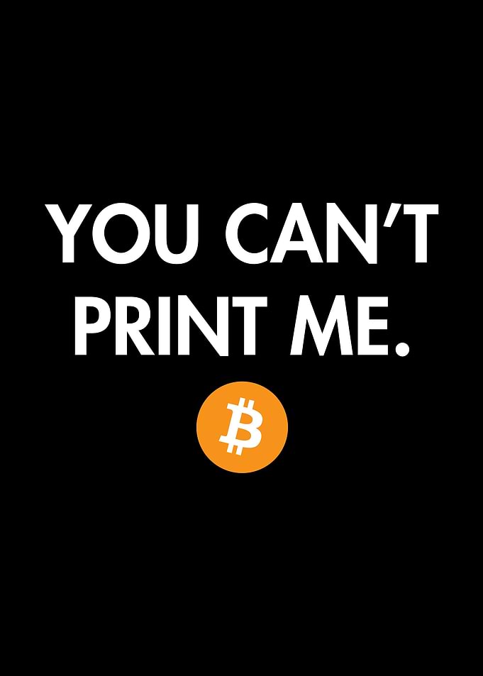 You Cant Print Me