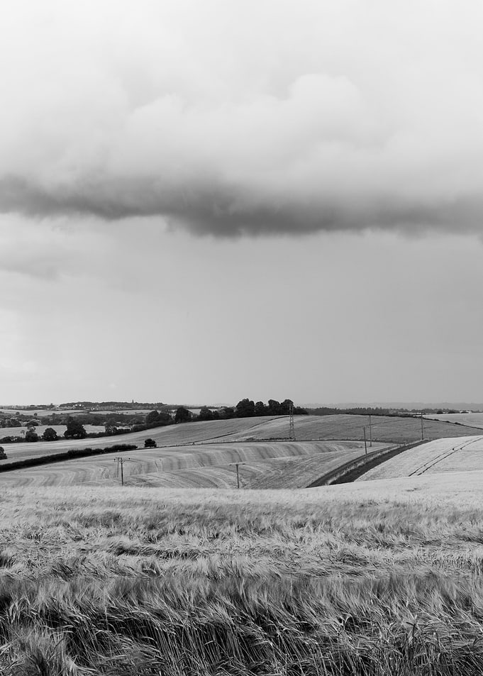 Rural Landscape
