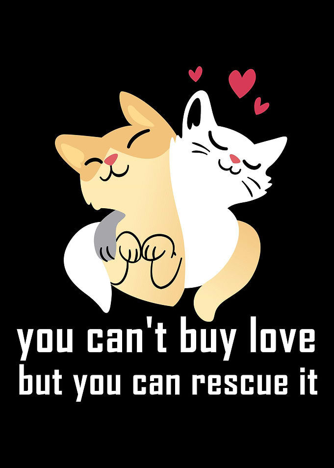 Animal Rescue Foster