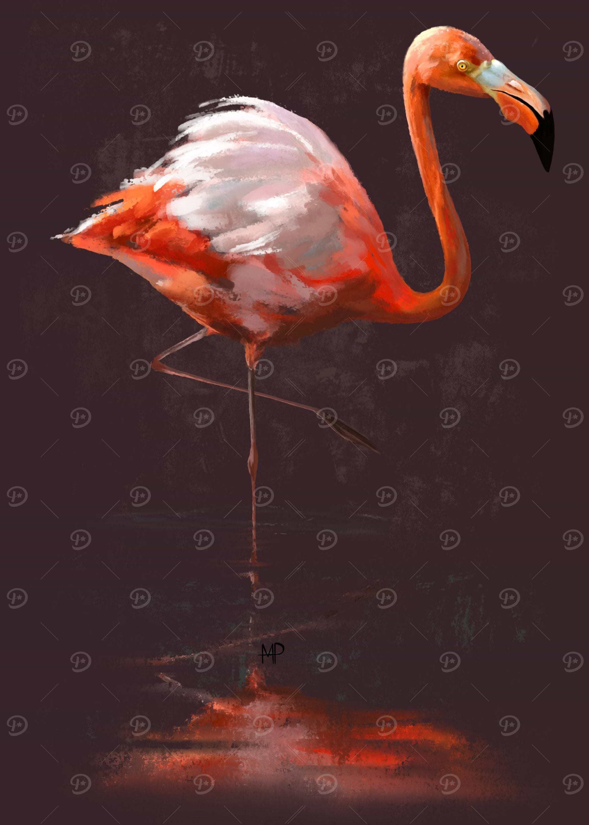 Flamingo