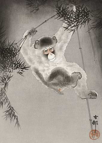 Swinging Monkey