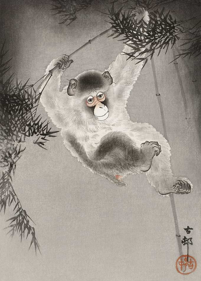 Swinging Monkey
