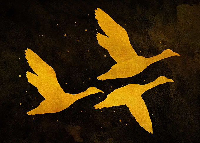 Duck fly