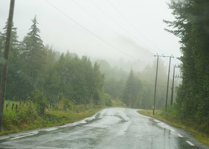 Rainy Norwegian street