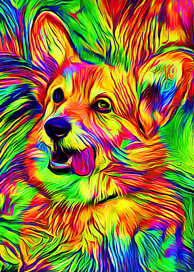 Corgi Fullcolor