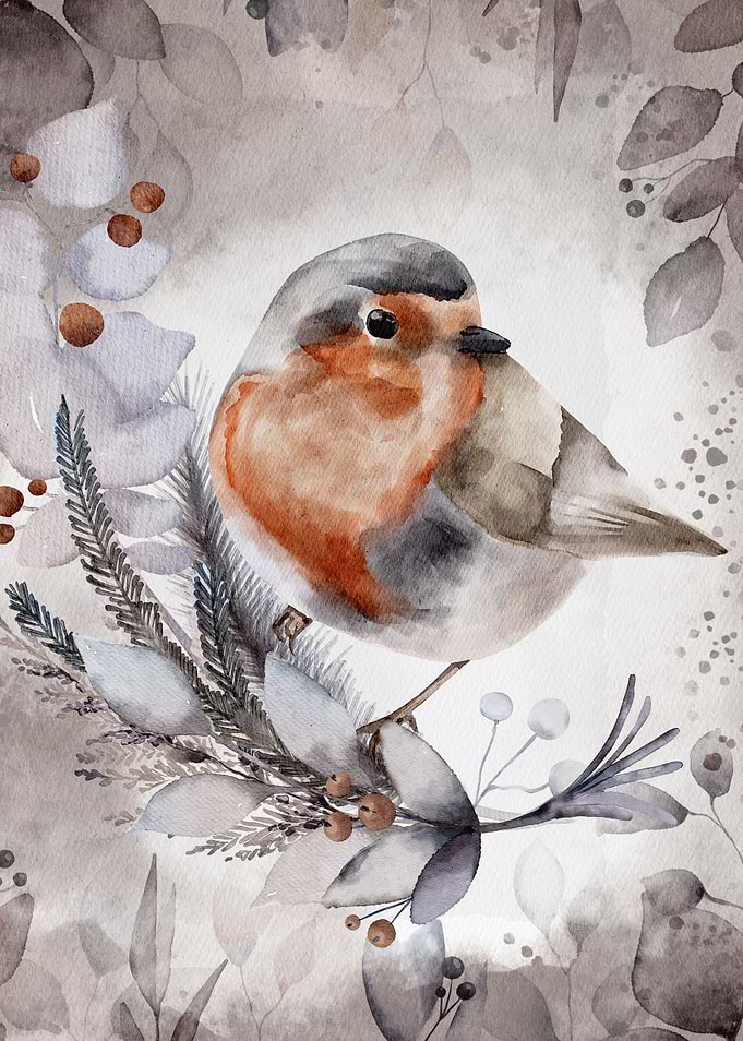 Robin Bird