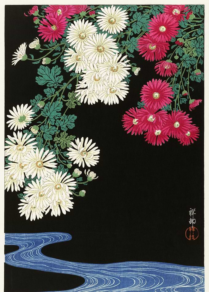 Daisies by a stream