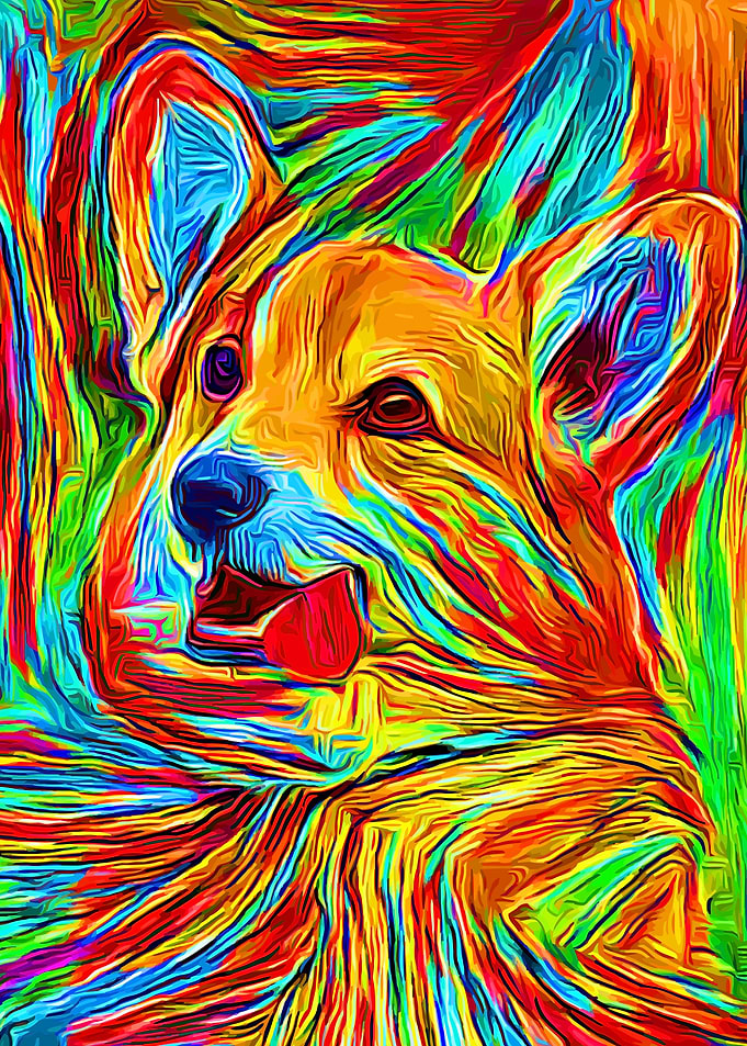 Corgi Rainbow