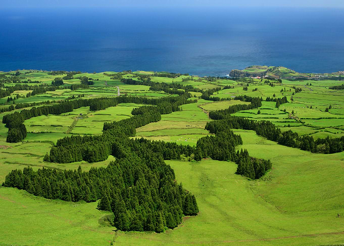Typical Azores landscape