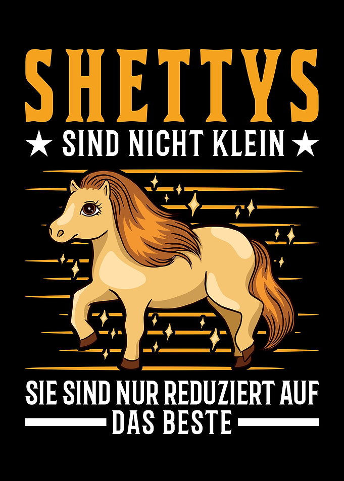 Shetland Pony Klein Shetty