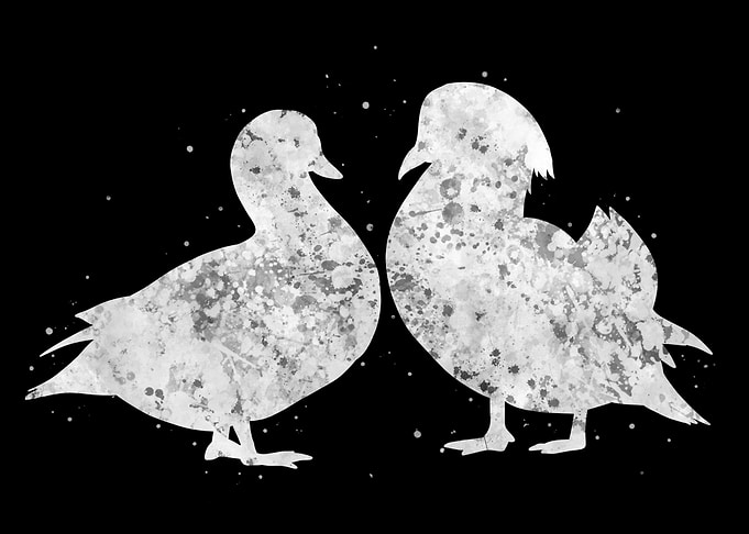 Duck Couple