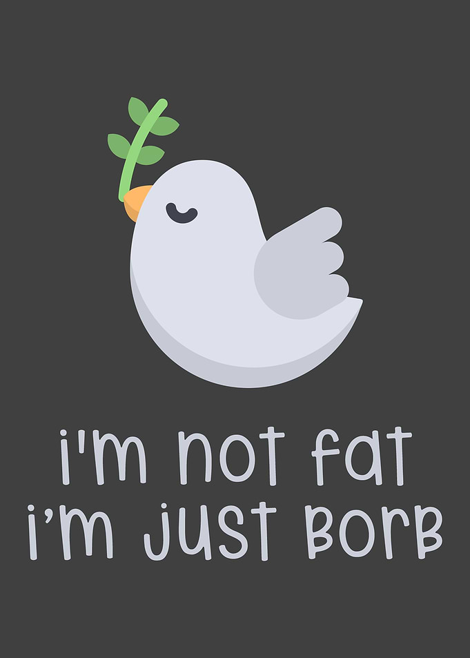 Bird Lover Dove Pidgeon