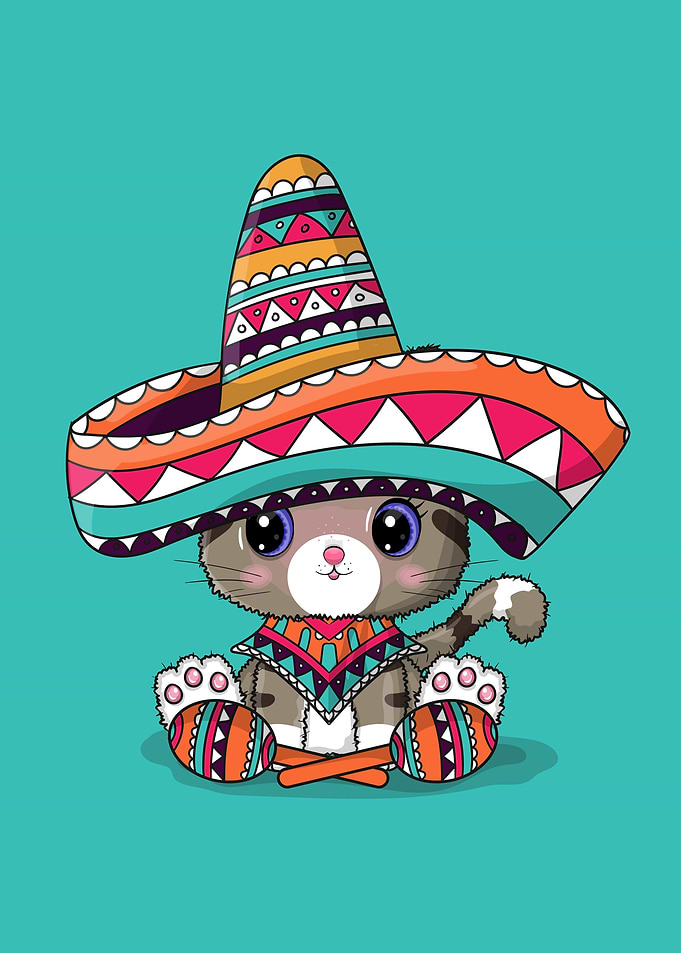 cute cat mexico