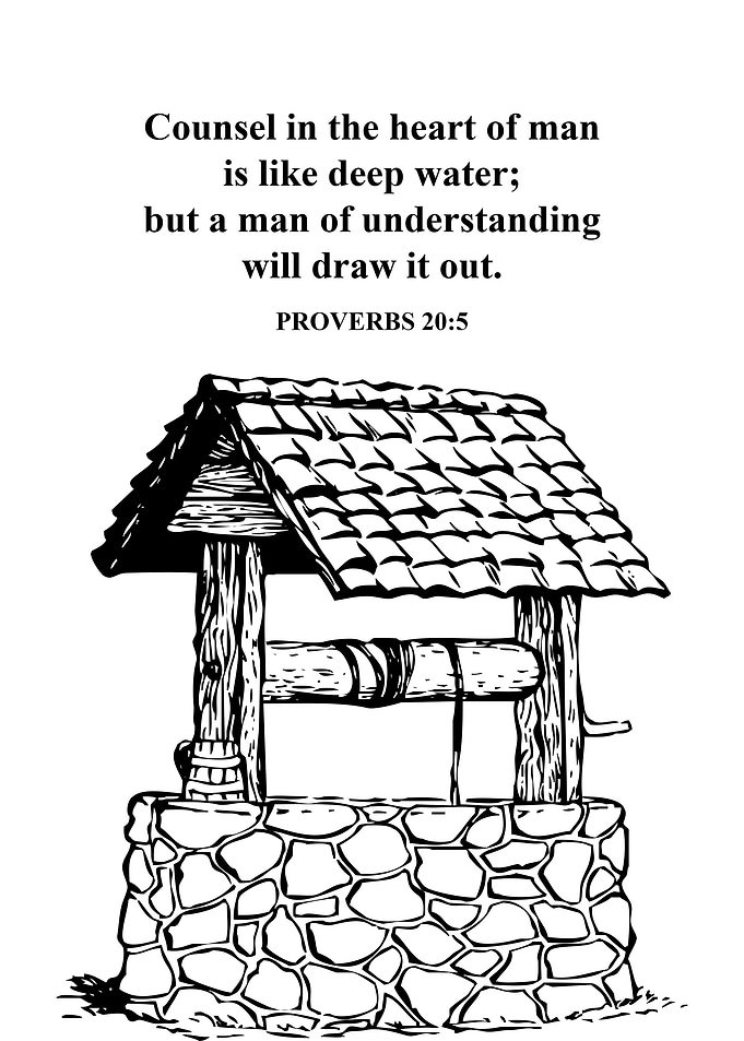 Proverbs 20 5