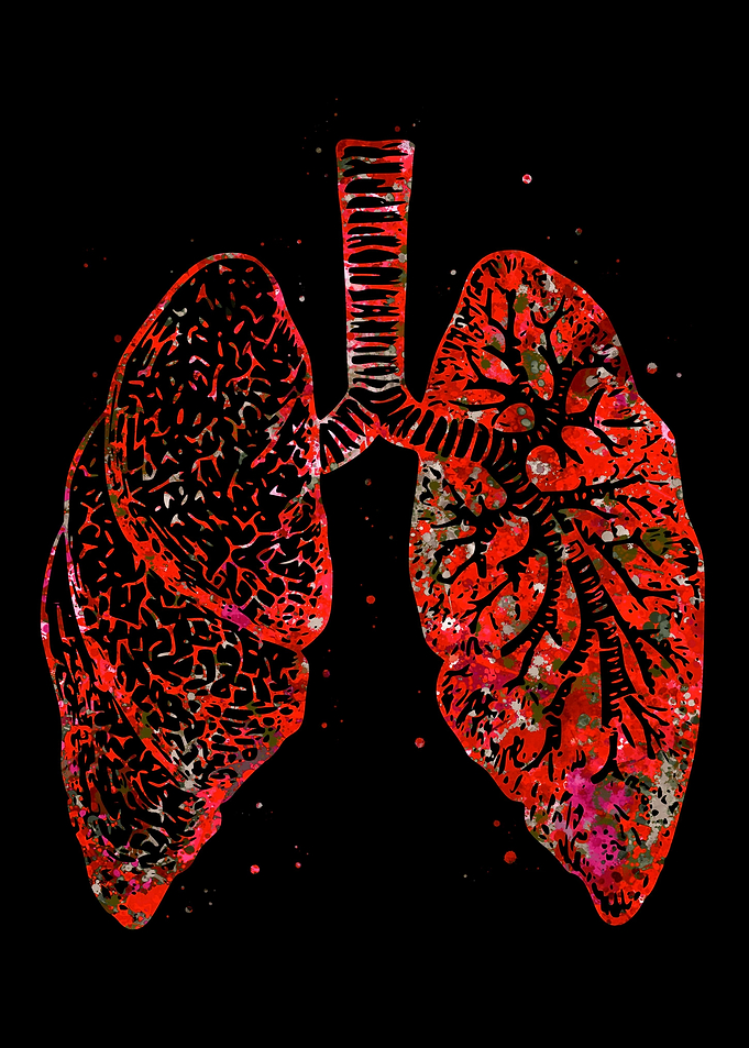 Lung Red
