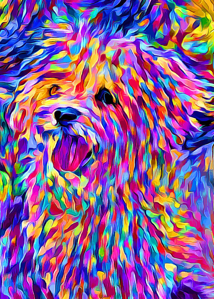 Maltese Color Impasto