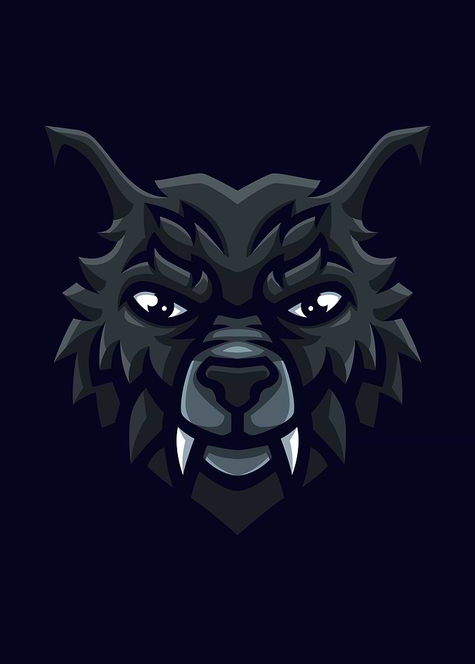 Black Wolf Illustration