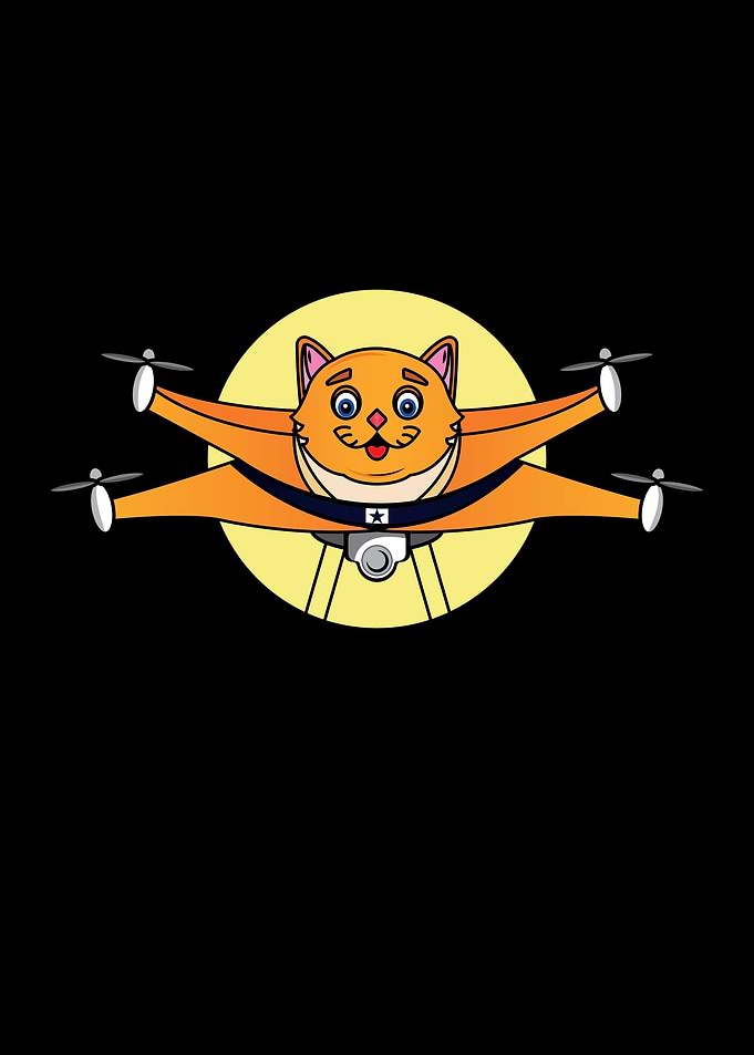 Cat drone