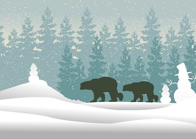 Bears In Winter