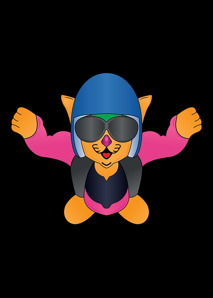 Cat skydiver