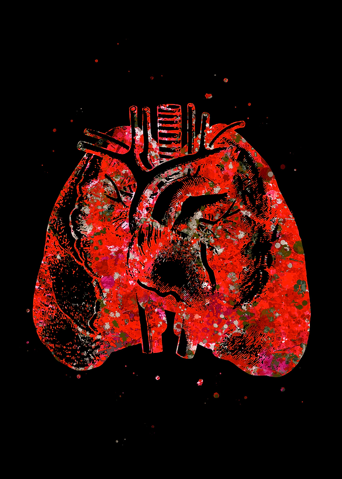 Lung and Heart