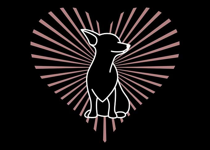 Chihuahua Heart Chihuahua