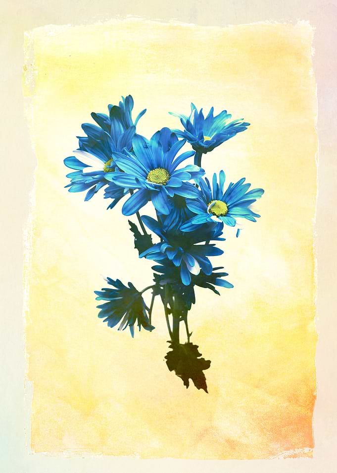 Flowers 8