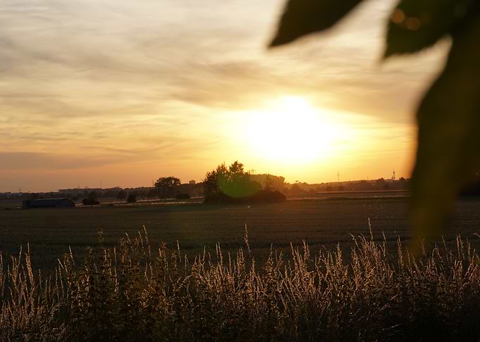German estate at dusk