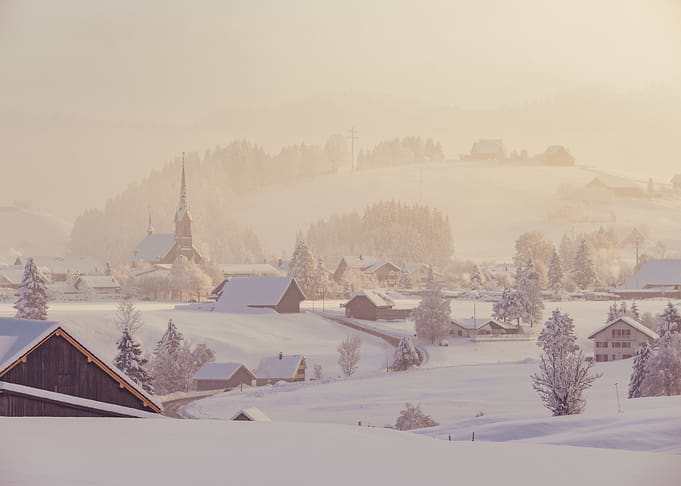 Foggy Winter Morning