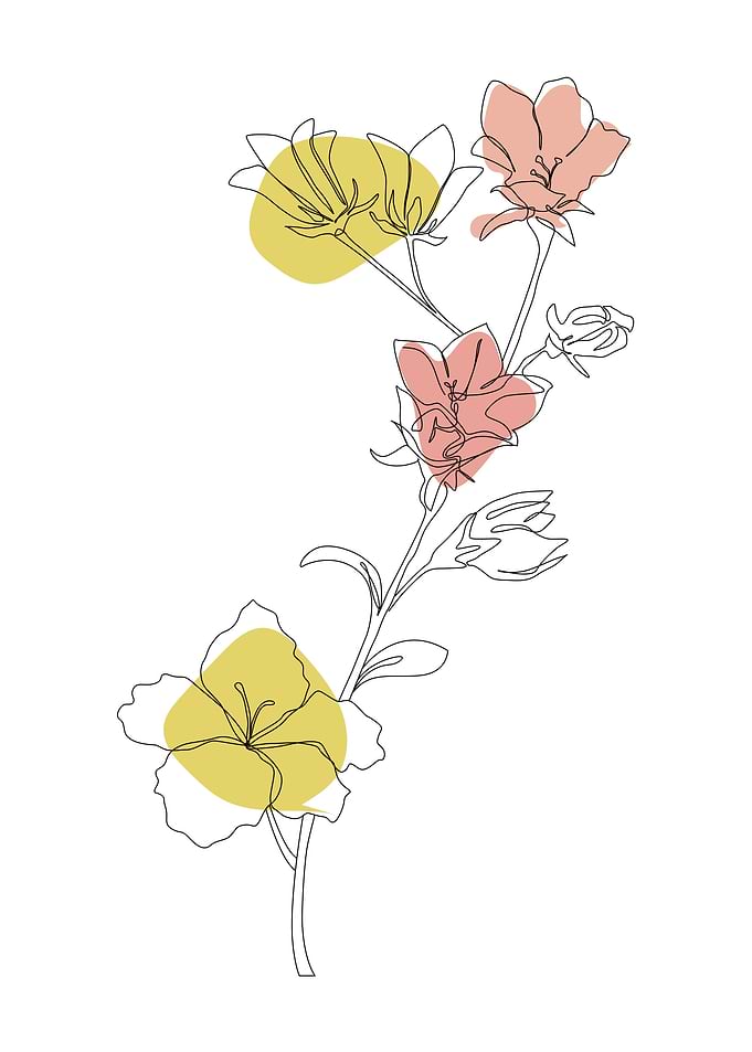 Flower One Line Art