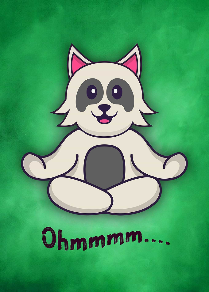 13 Yoga animal 13