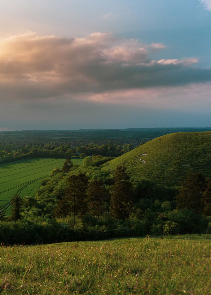 Beautiful landscape