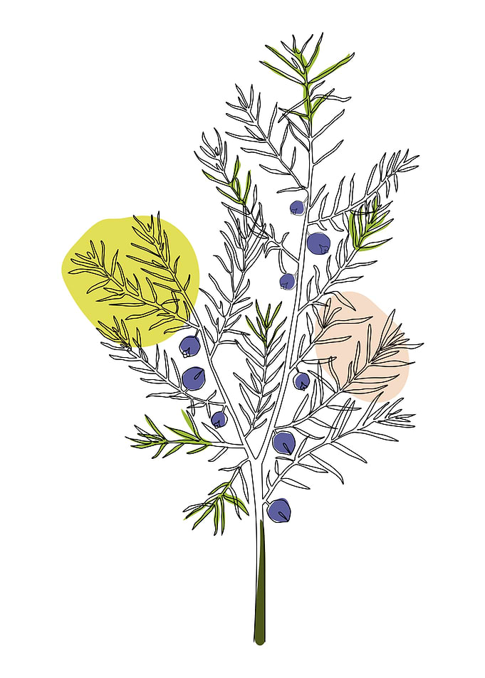 Flower One Line Art