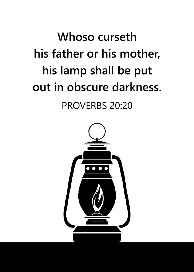Proverbs 20 20
