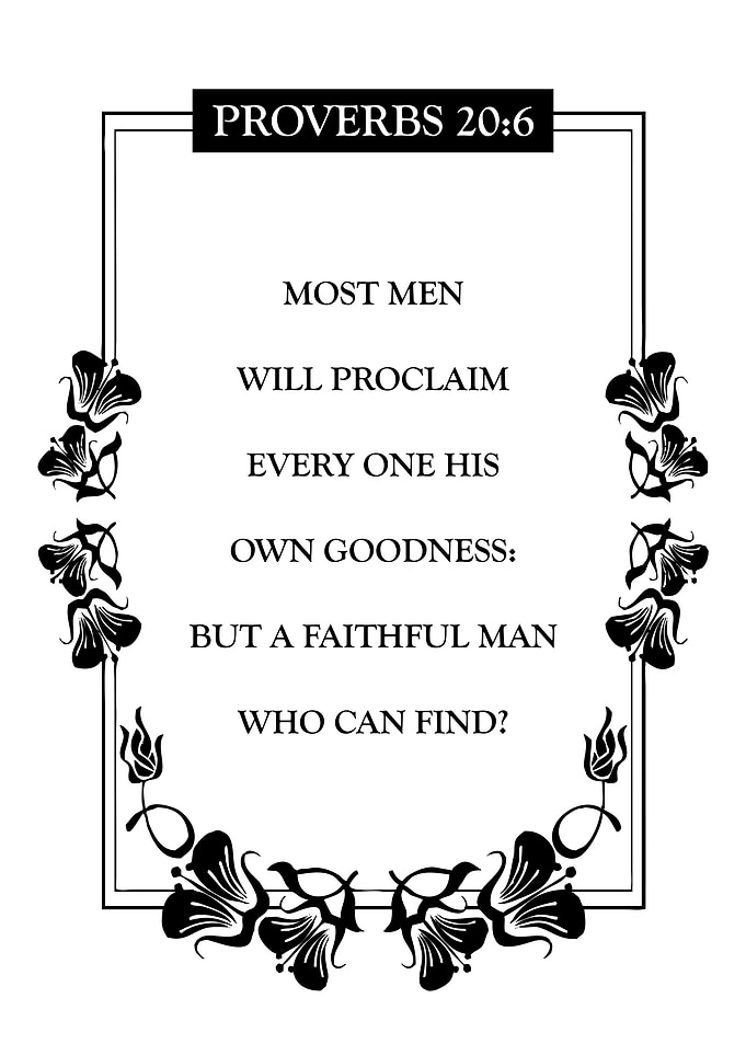Proverbs 20 6
