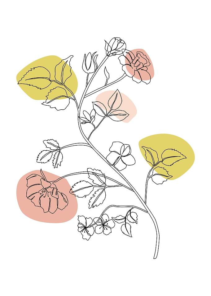 Flower One Line art Boho