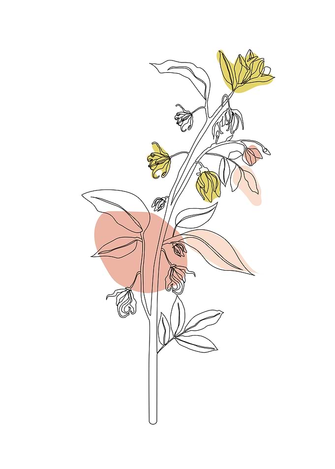 Flower One Line Art