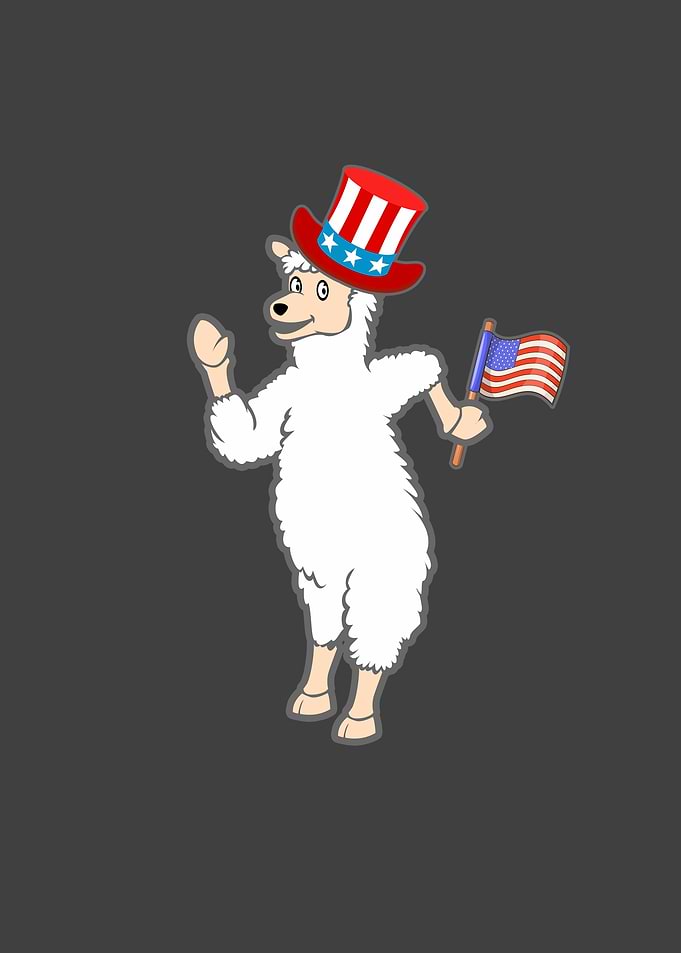 Patriotic Llama with hat