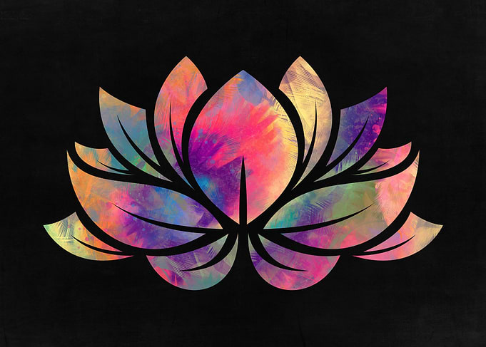 Colorful Pink Lotus