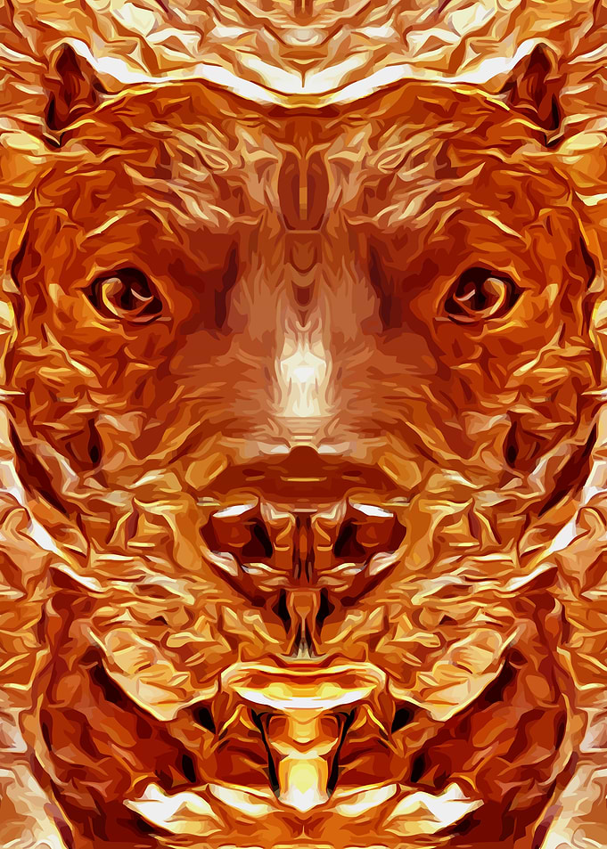 Pit Bull Gold